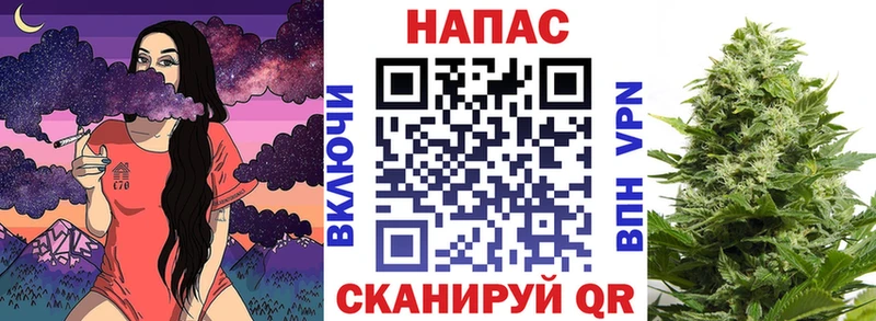 ГАШ Курлово