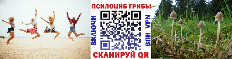 Псилоцибиновые грибы прущие грибы  Курлово 